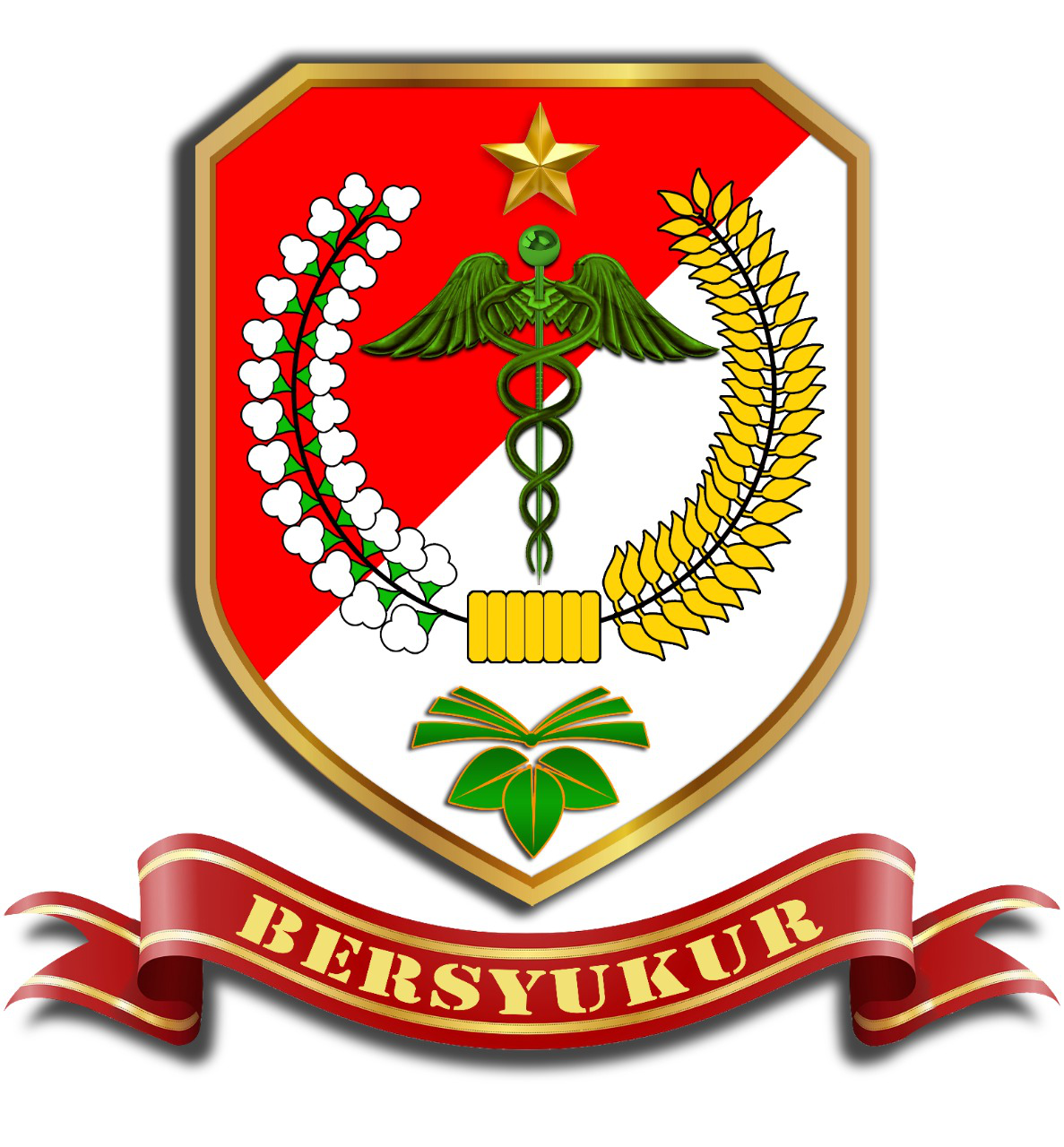 Logo RSPAD